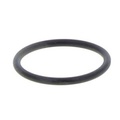 GASKET HIFI FILTER 1382701